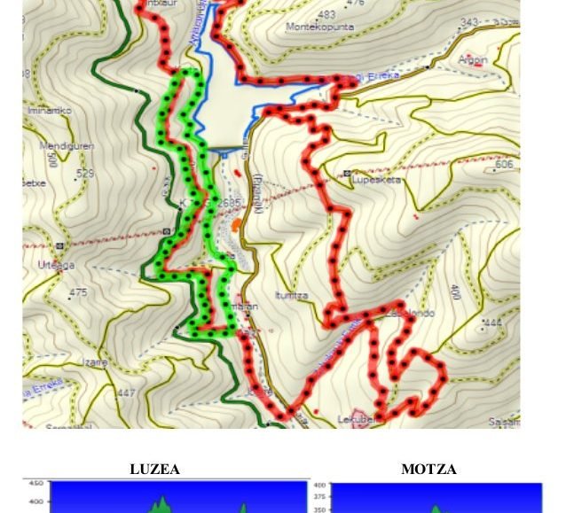 20120317_ArriaranMendiLasterketa.jpg