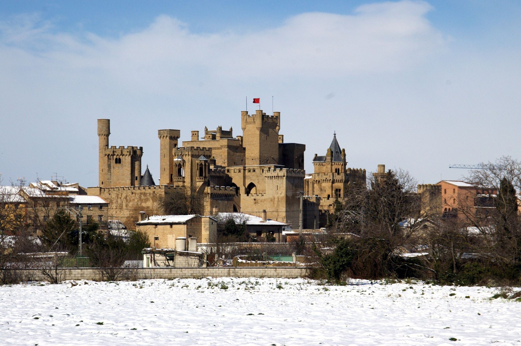 SAN SILVESTRE - OLITE