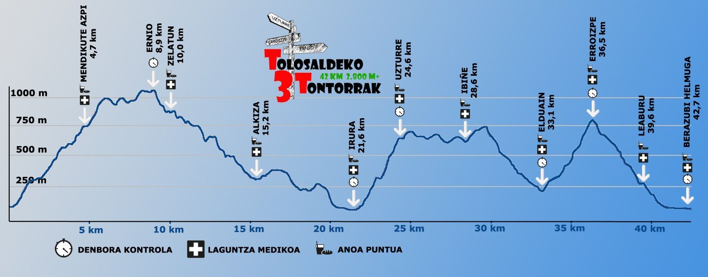 20160619_perfila-t3t-20151.jpg