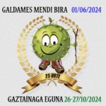 XIV. GALDAMES MENDI BIRA LASTERKETA - 2024