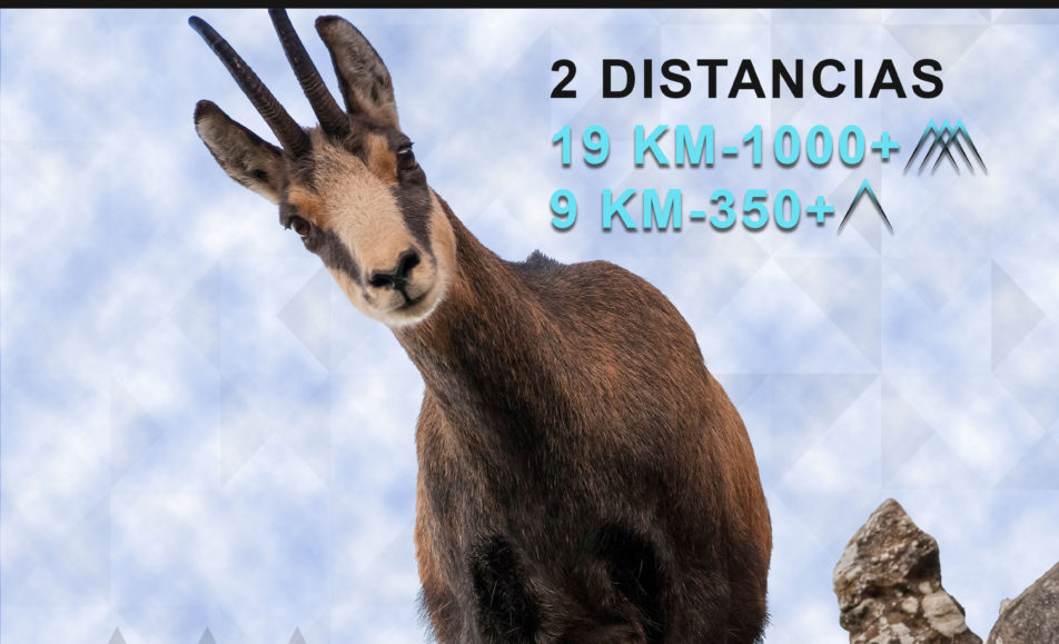 I. REBECOS TRAIL - 2024