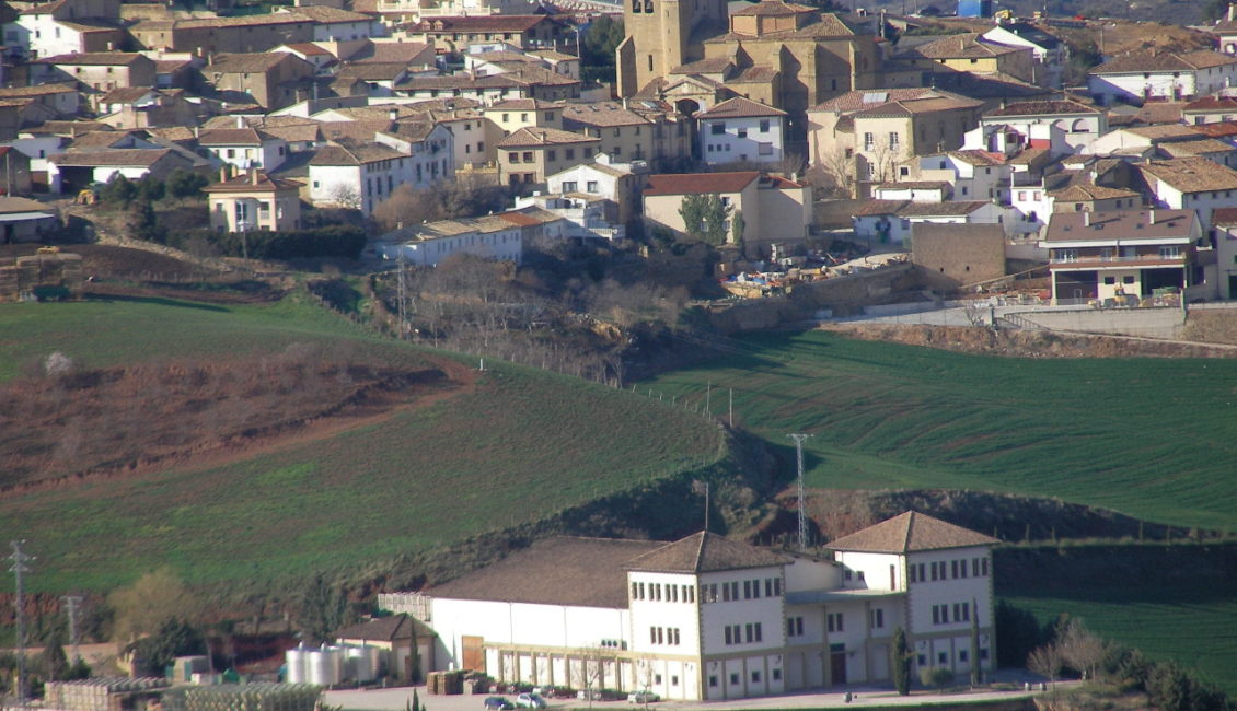 XXV. SAN SILVESTRE- AÑORBE - 2025