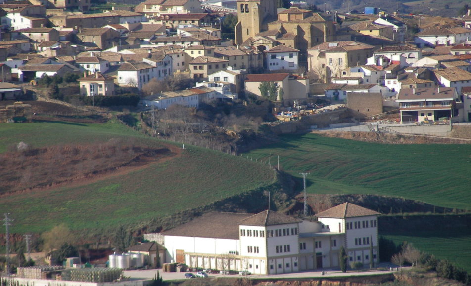 XXV. SAN SILVESTRE- AÑORBE - 2025